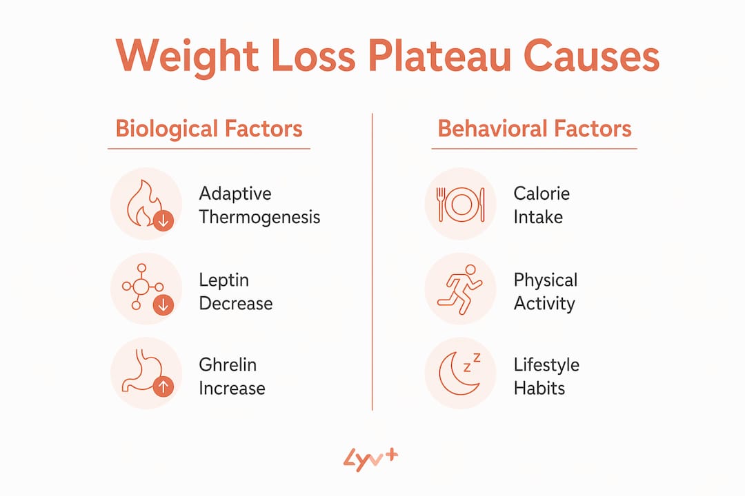 Infographic-comparing-biological-and-behavioral-causes-of-weight-loss-plateau - lyv