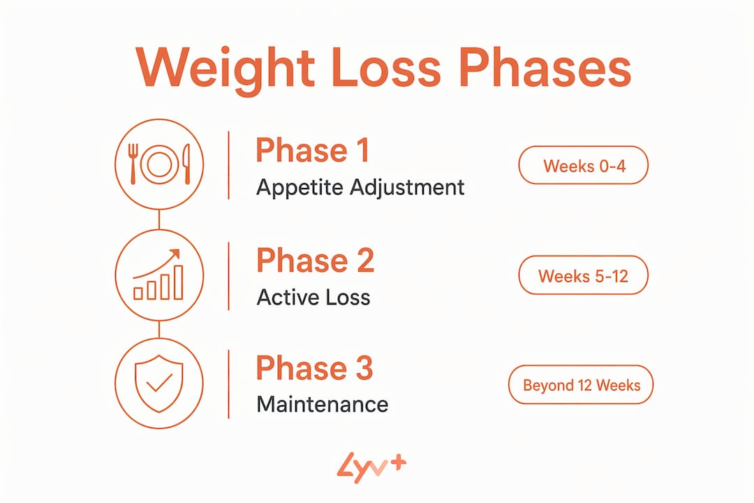 Infographic-showing-weight-loss-program-phases - lyv